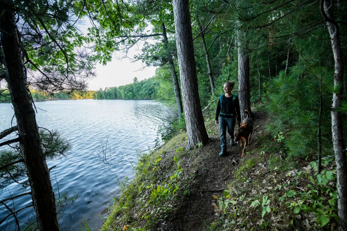 A wooded trail along the lakeshore