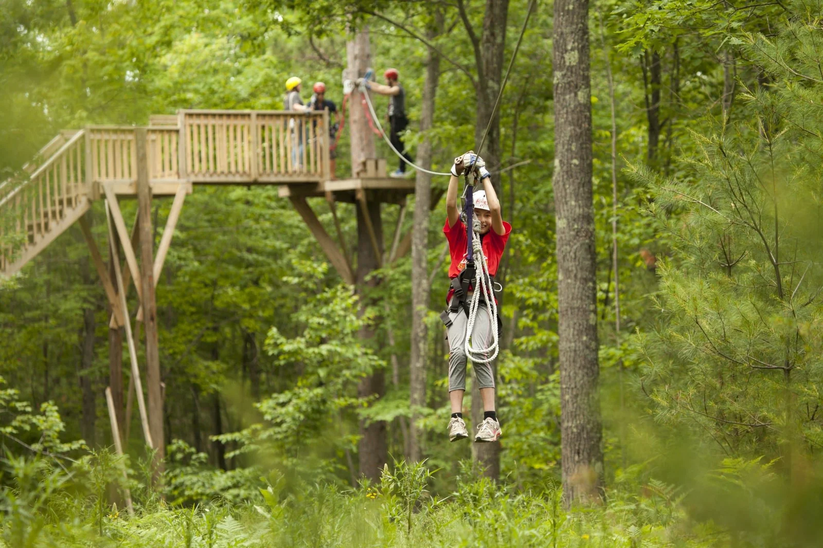 An aerial adventure course strung between the trees
