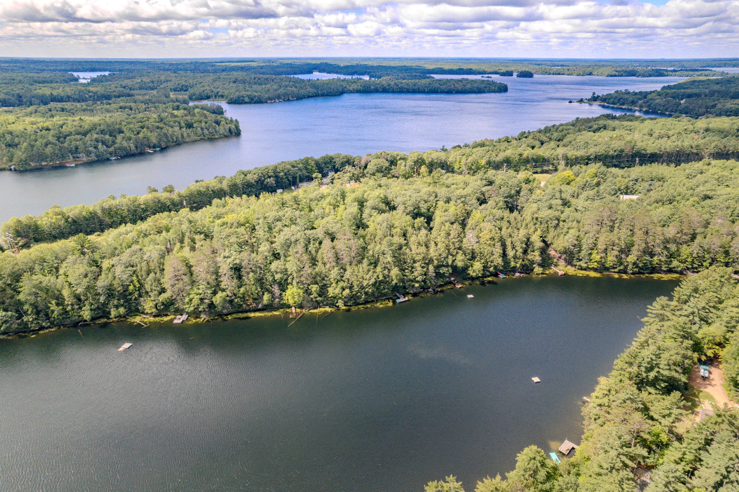 Forest and lake stretching to the horizon